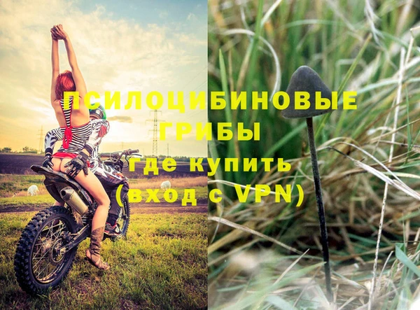 ГАЛЛЮЦИНОГЕННЫЕ ГРИБЫ Баксан