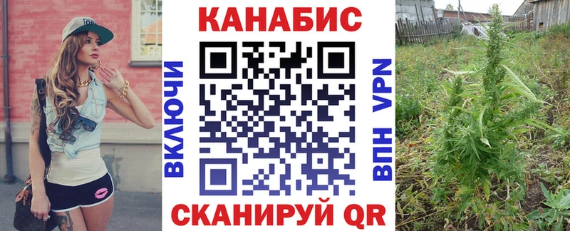 Конопля семена кракен как зайти Губкинский